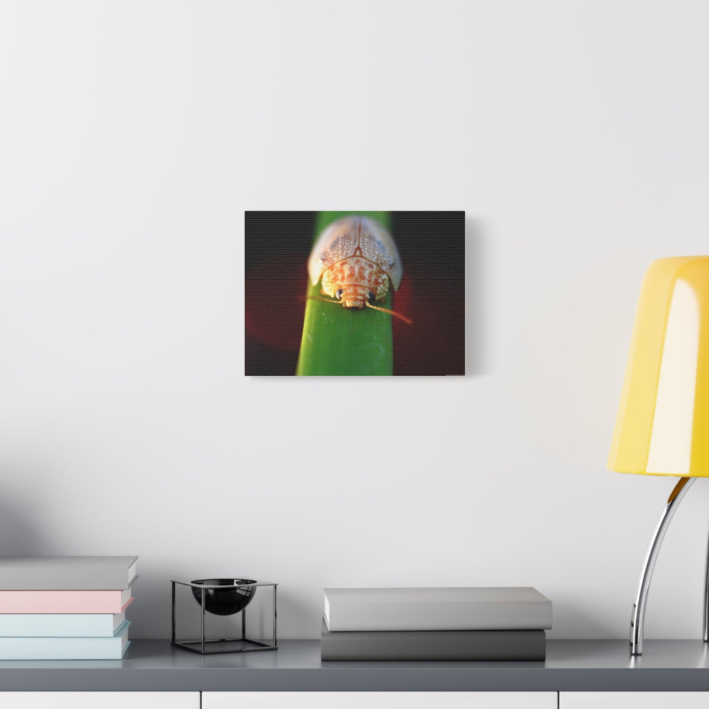 Bug Macro Canvas Print — Close-Up Beetle Photography Wall Art