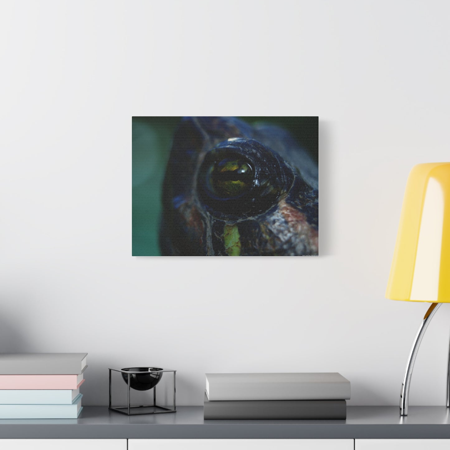 Turtle Eye Macro Matte Canvas Print — Close-Up Wall Art