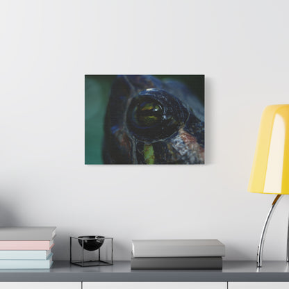 Turtle Eye Macro Matte Canvas Print — Close-Up Wall Art
