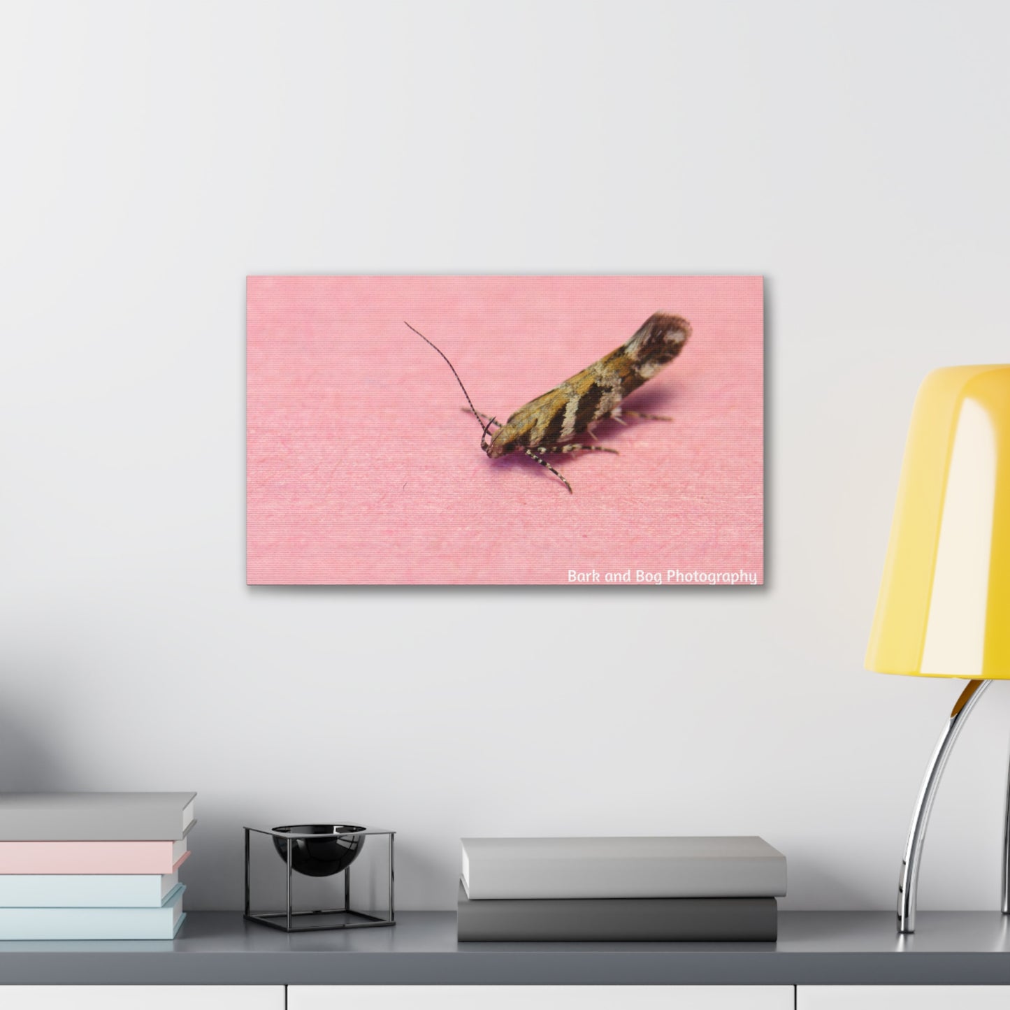 Insect Wall Art, Canvas Print, Unique Home Decor, Nature Lover Gift, Minimalist Artwork, Bug Photography