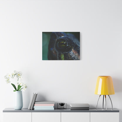 Turtle Eye Macro Matte Canvas Print — Close-Up Wall Art