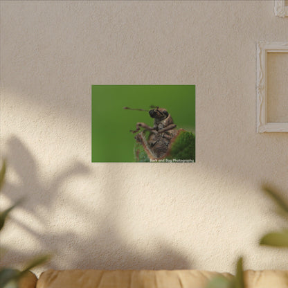 Weevil Macro Wall Art, Nature Decor for Bug Lovers, Green Background, Home Decor, Unique Gifts, Eco-Friendly Art