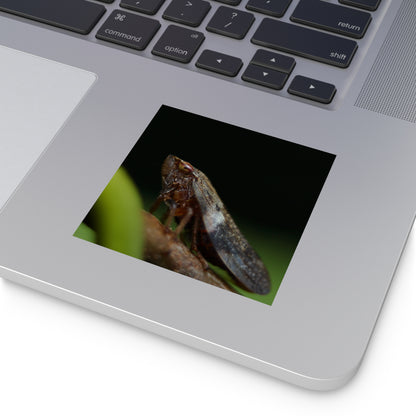 Treehopper insect close-up Square Vinyl Sticker | macro bug photography