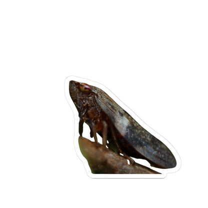 Leafhopper Illustration Kiss-Cut Sticker | Insect Laptop Decal