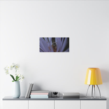 Bee in Purple Flower Canvas | Matte Stretched Wall Art