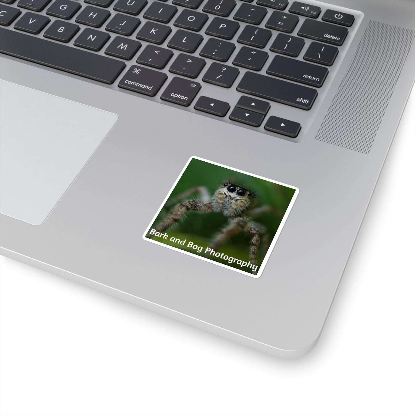 Jumping Spider Photo Square Sticker | Bark and Bog Photography