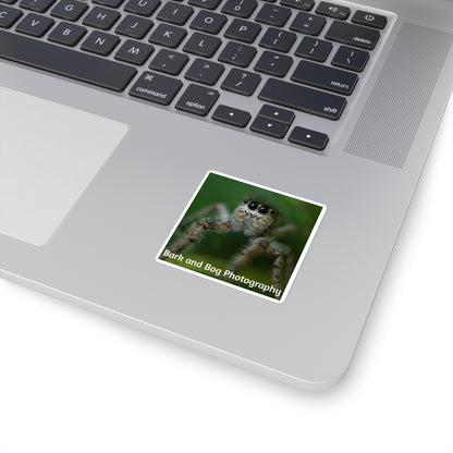 Jumping Spider Photo Square Sticker | Bark and Bog Photography