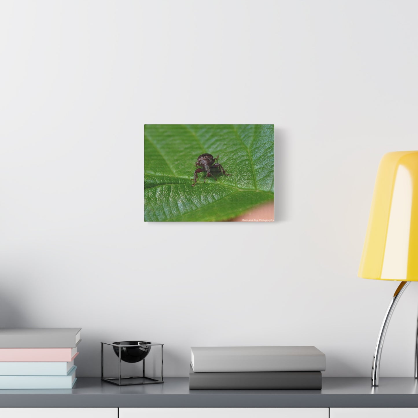 Weevil on Green Leaf Matte Canvas Print — Macro Insect Wall Art, Stretched 1.25"
