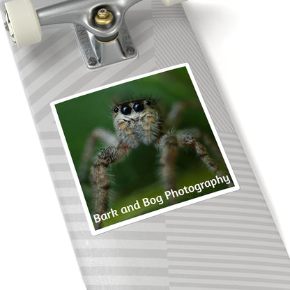 Jumping Spider Photo Square Sticker | Bark and Bog Photography