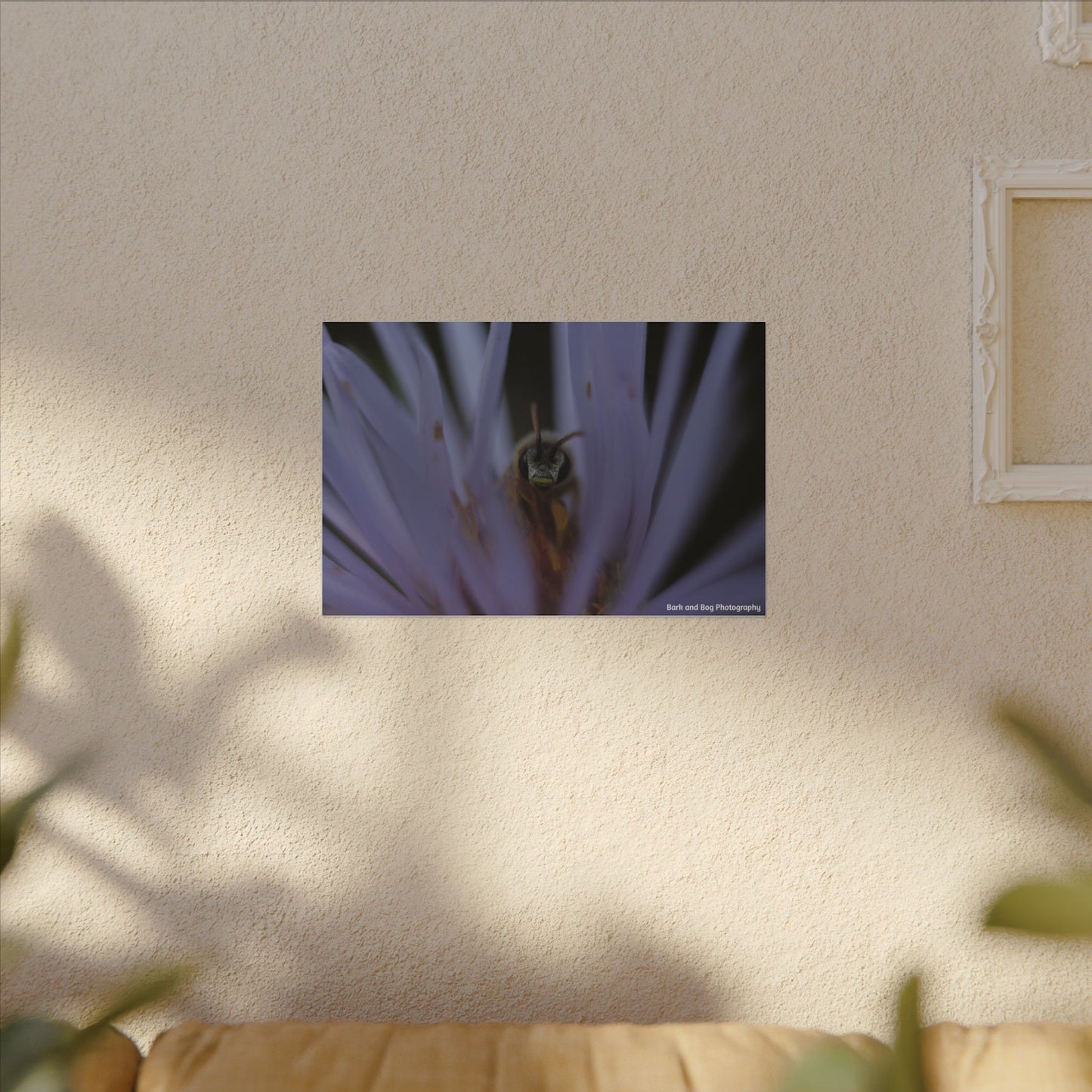 Bee in Purple Flower Canvas | Matte Stretched Wall Art